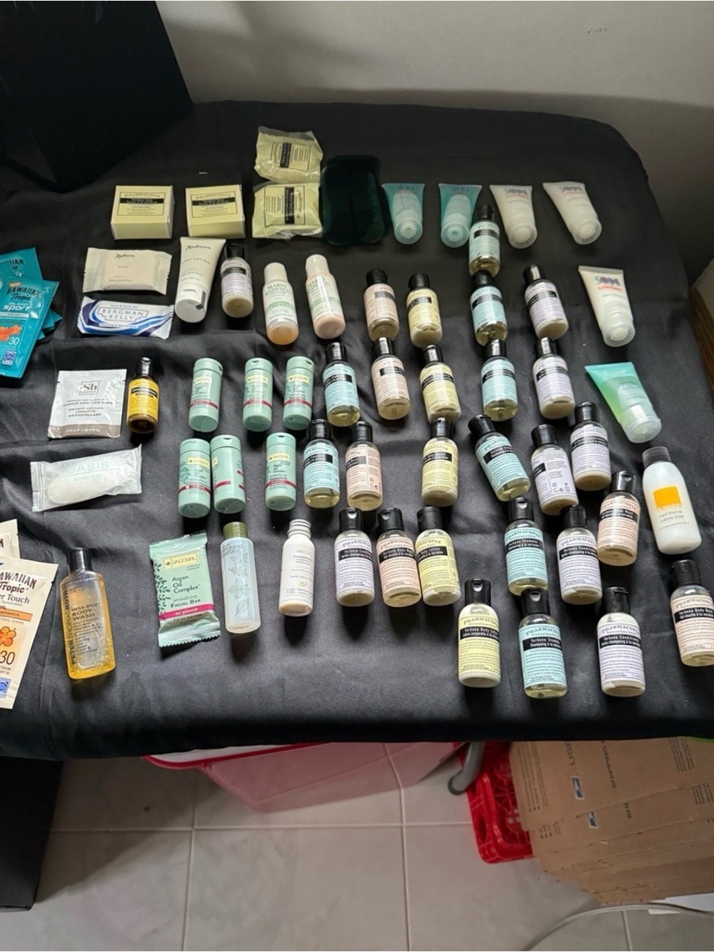 Assorted Travel-Size 50+ shampoos, soaps, conditioners, body wash.